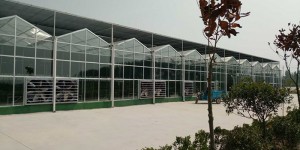 陽光板溫室與連棟薄膜溫室大棚的區別